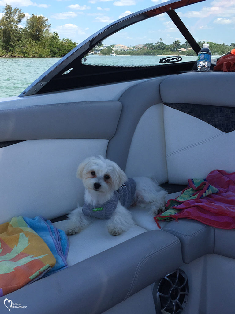 cooper IMG_2181mm