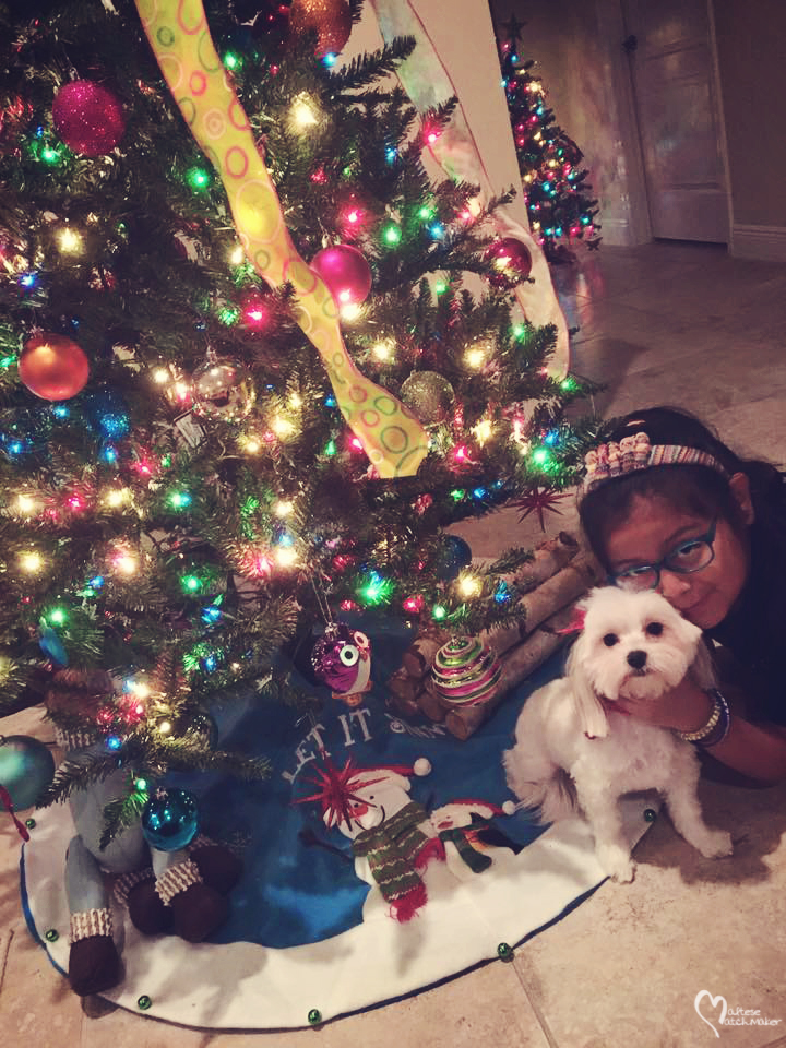 izabella-christmas-2016