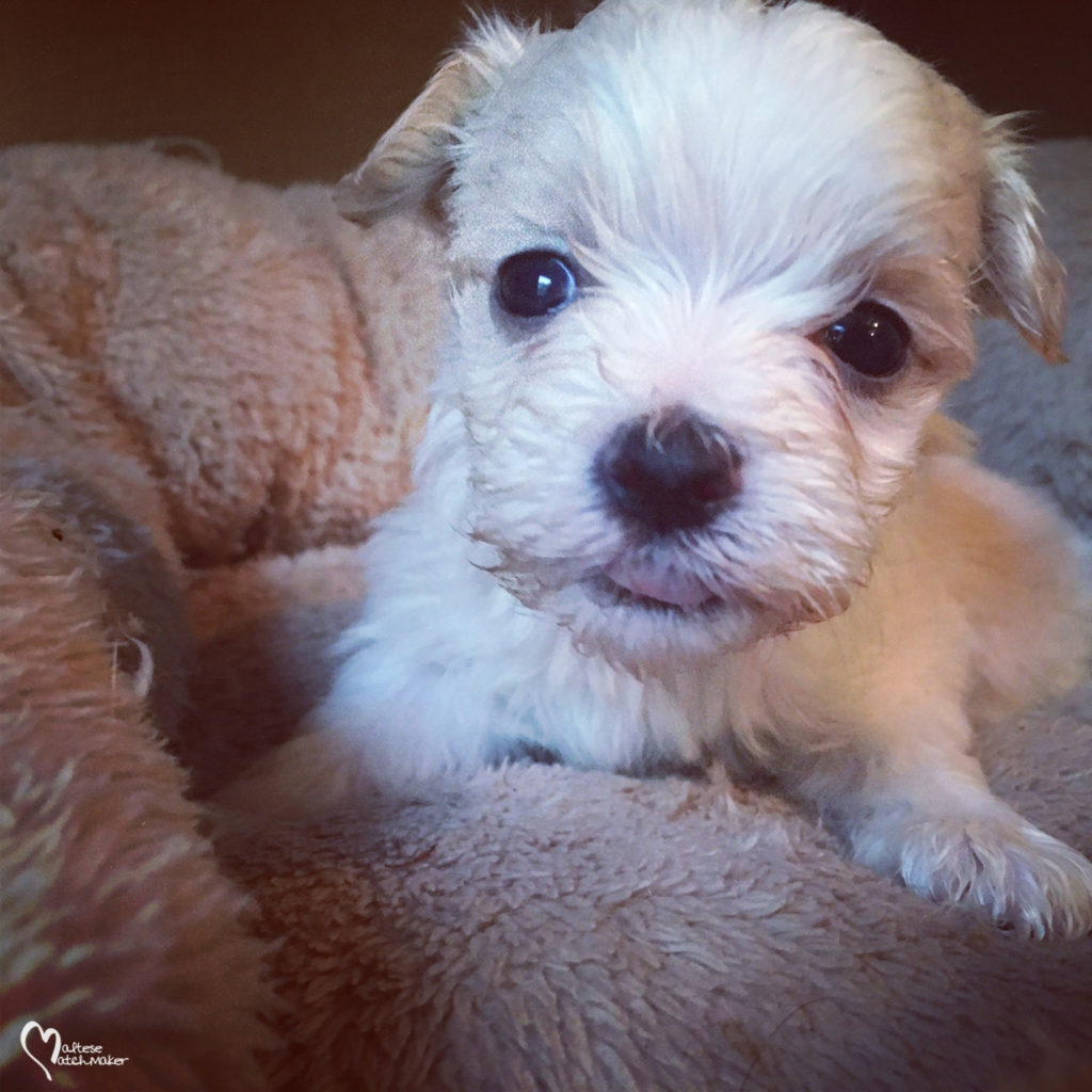 ellie IMG_2309