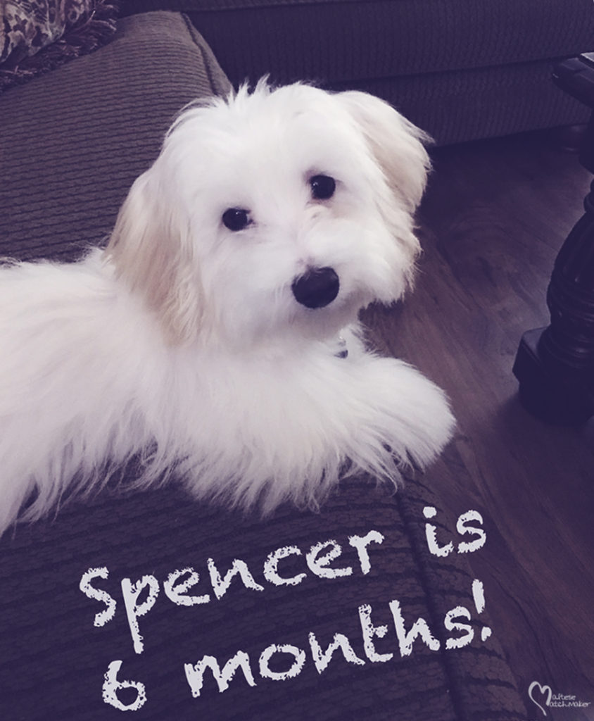spencer-6-months